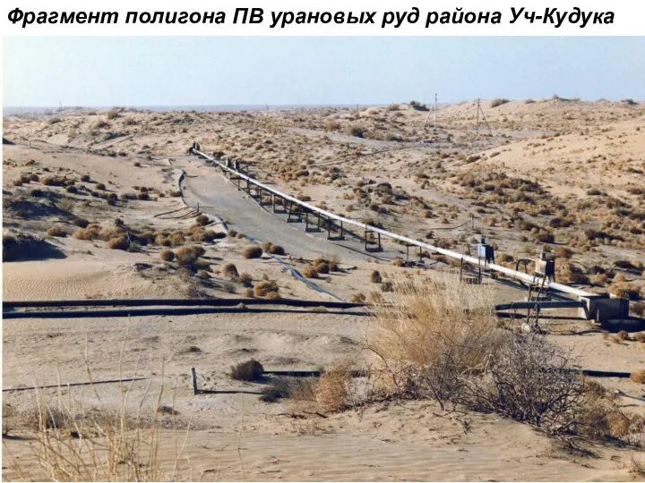 Фрагмент полигона ПВ урановых руд района Уч-Кудука