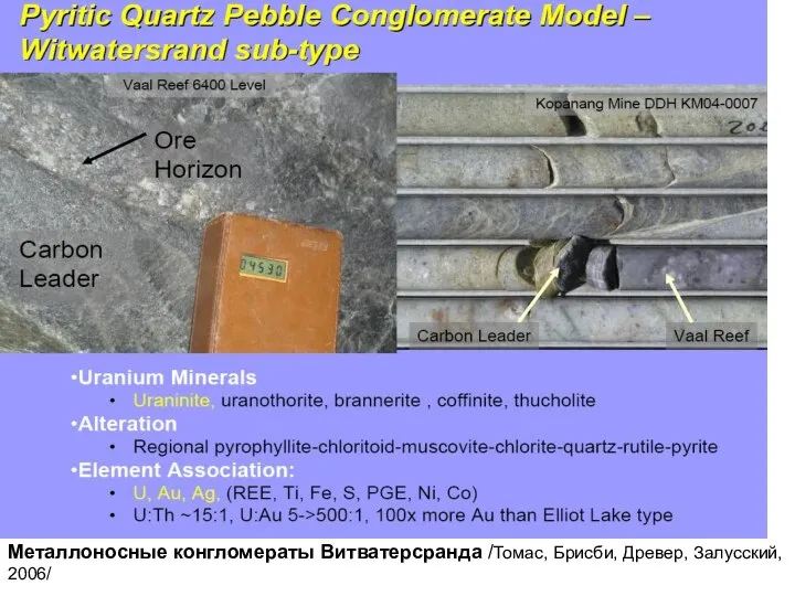 Металлоносные конгломераты Витватерсранда /Томас, Брисби, Древер, Залусский, 2006/