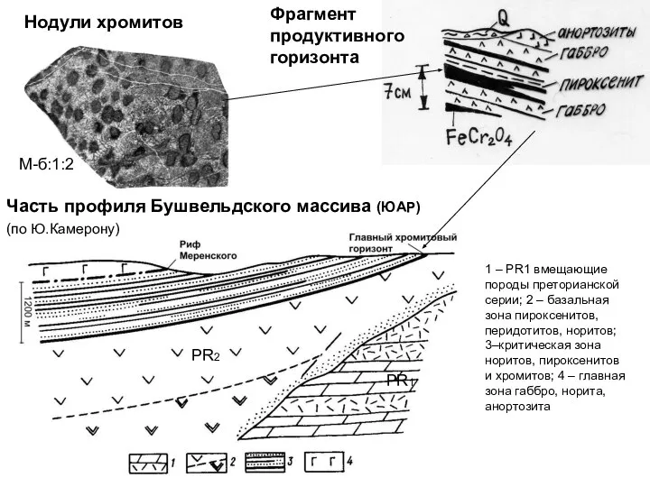 Часть профиля Бушвельдского массива (ЮАР) (по Ю.Камерону) Фрагмент продуктивного горизонта Нодули