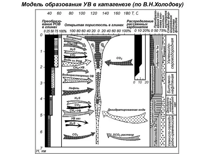 Модель образования УВ в катагенезе (по В.Н.Холодову)