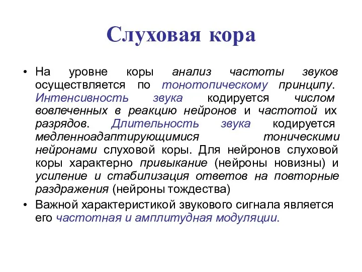 Слуховая кора На уровне коры анализ частоты звуков осуществляется по тонотопическому