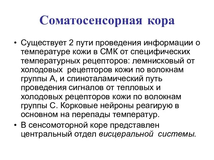 Соматосенсорная кора Существует 2 пути проведения информации о температуре кожи в