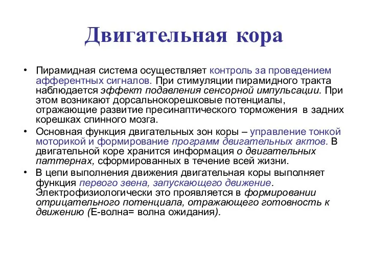 Двигательная кора Пирамидная система осуществляет контроль за проведением афферентных сигналов. При