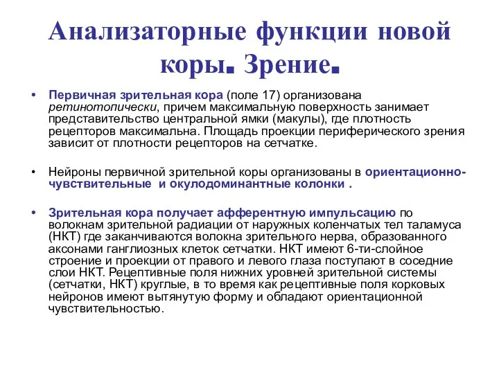 Анализаторные функции новой коры. Зрение. Первичная зрительная кора (поле 17) организована