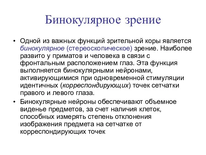 Бинокулярное зрение Одной из важных функций зрительной коры является бинокулярное (стереоскопическое)