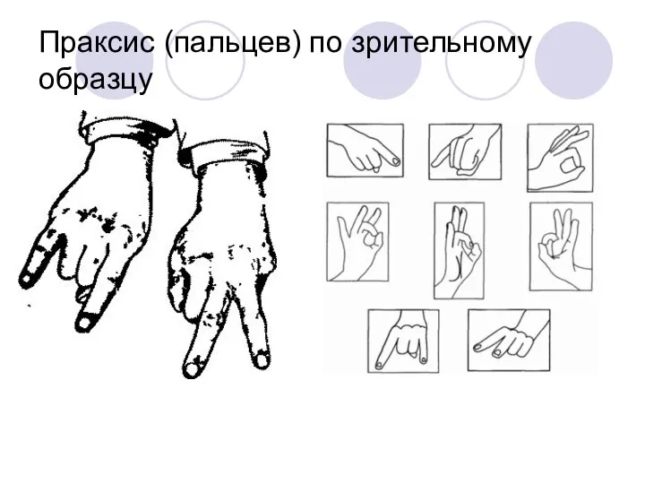 Праксис (пальцев) по зрительному образцу