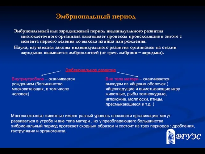 Эмбриональный или зародышевый период индивидуального развития многоклеточного организма охватывает процессы происходящие