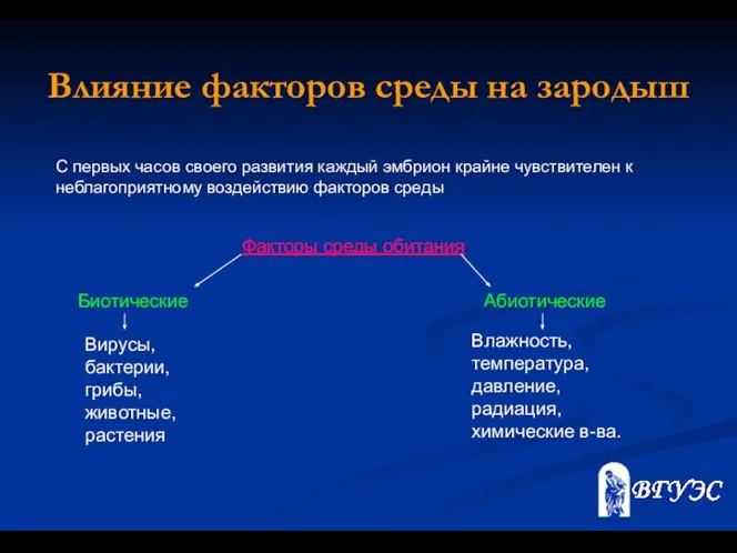 Влияние факторов среды на зародыш Факторы среды обитания Биотические Абиотические Вирусы,