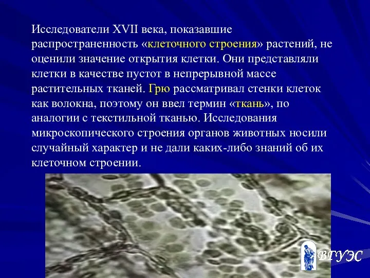 Исследователи XVII века, показавшие распространенность «клеточного строения» растений, не оценили значение