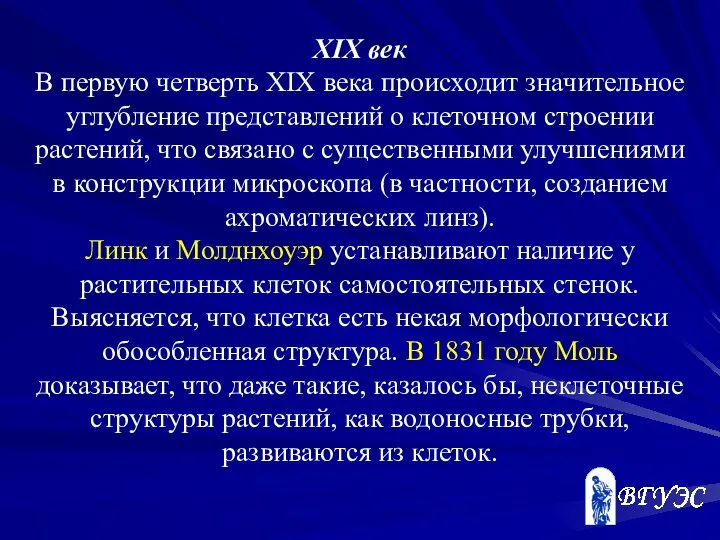 XIX век В первую четверть XIX века происходит значительное углубление представлений