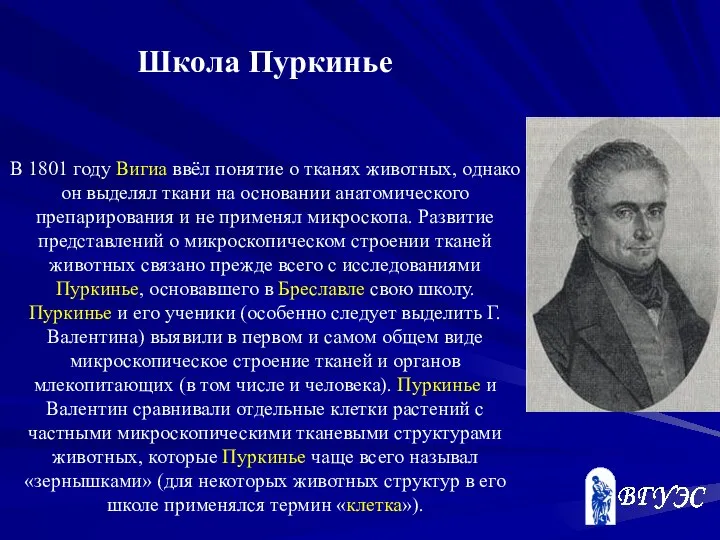 Школа Пуркинье В 1801 году Вигиа ввёл понятие о тканях животных,