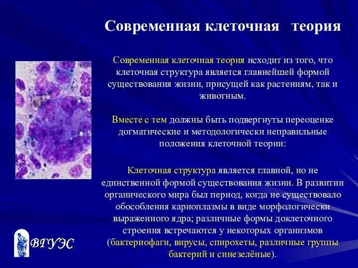 Современная клеточная теория Современная клеточная теория исходит из того, что клеточная