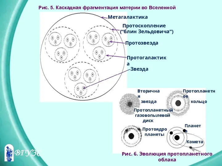 Черныш Роман Игоревич ВМ-08-01 Метагалактика Протоскопление (“блин Зельдовича”) Протогалактика Протозвезда Звезда