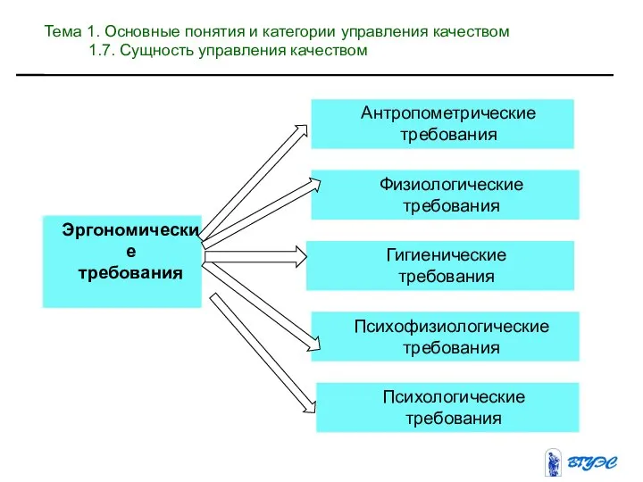 Эргономические требования Антропометрические требования Физиологические требования Гигиенические требования Психофизиологические требования Психологические