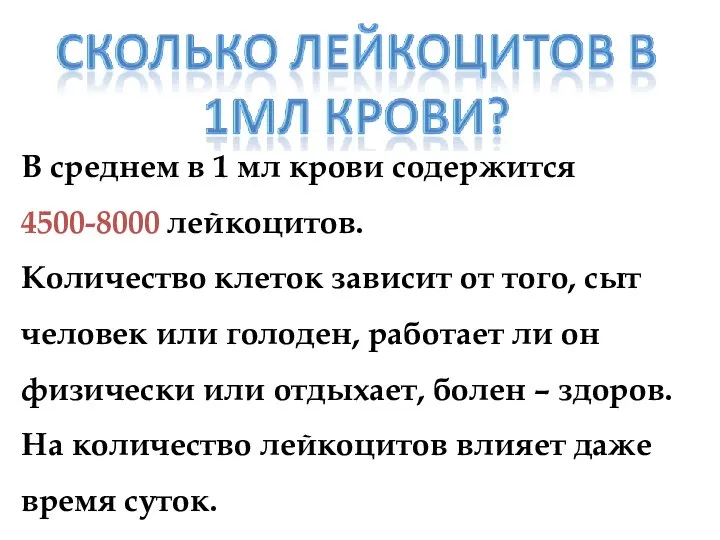 В среднем в 1 мл крови содержится 4500-8000 лейкоцитов. Количество клеток