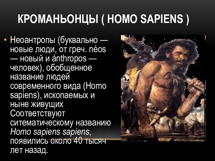 КРОМАНЬОНЦЫ ( HOMO SAPIENS ) Неоантропы (буквально — новые люди, от