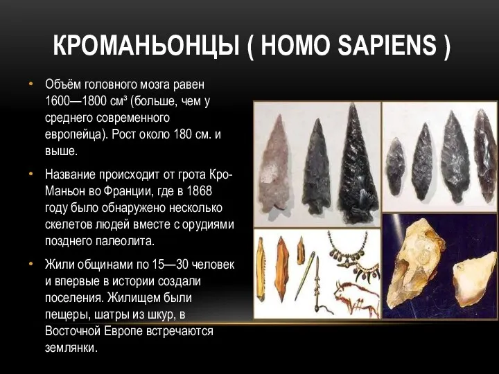 КРОМАНЬОНЦЫ ( HOMO SAPIENS ) Объём головного мозга равен 1600—1800 см³