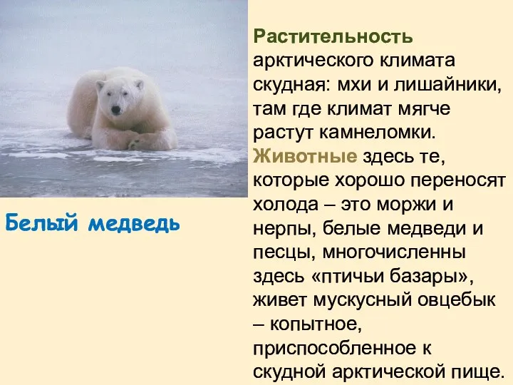 Растительность арктического климата скудная: мхи и лишайники, там где климат мягче