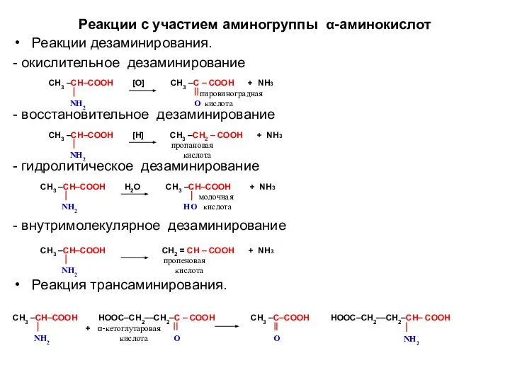 Реакции с участием аминогруппы α-аминокислот Реакции дезаминирования. - окислительное дезаминирование -