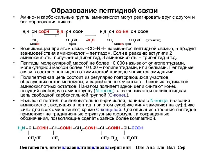 Образование пептидной связи Амино- и карбоксильные группы аминокислот могут реагировать друг