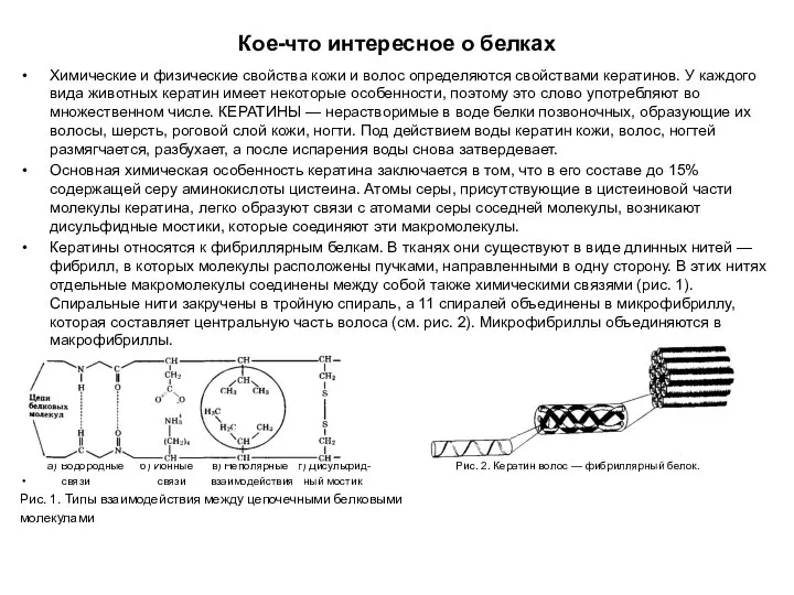 Кое-что интересное о белках Химические и физические свойства кожи и волос