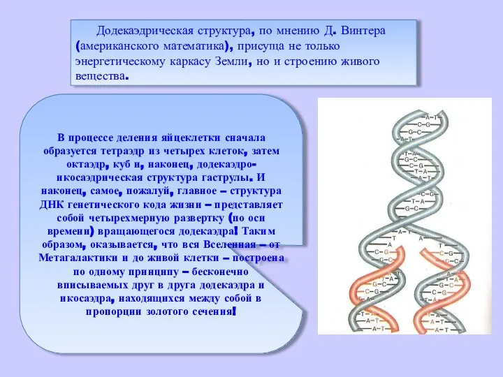 Додекаэдрическая структура, по мнению Д. Винтера (американского математика), присуща не только