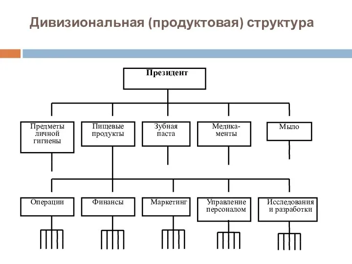 Дивизиональная (продуктовая) структура