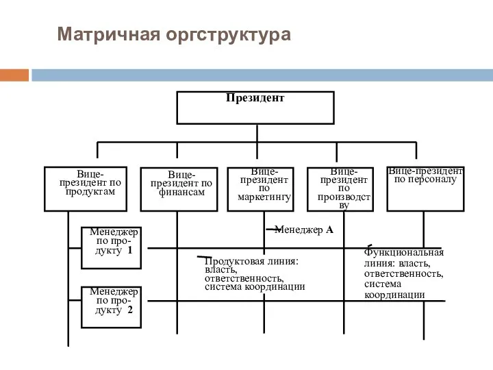 Матричная оргструктура