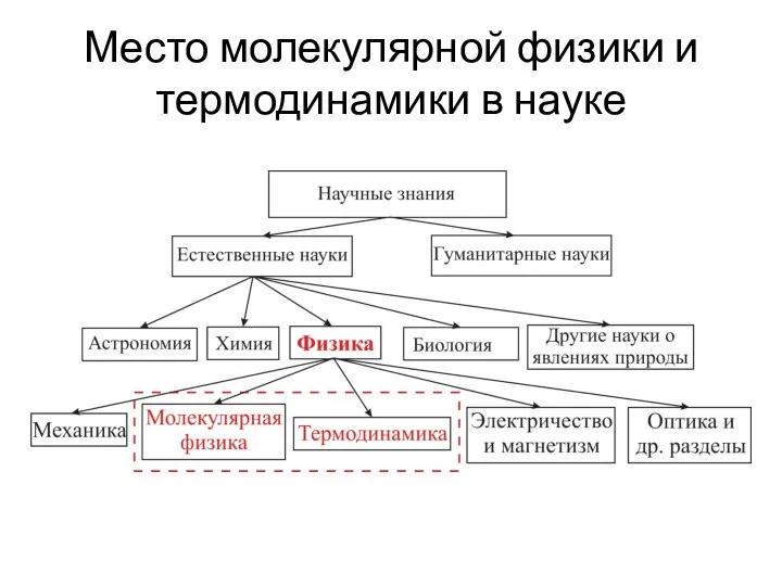 Место молекулярной физики и термодинамики в науке