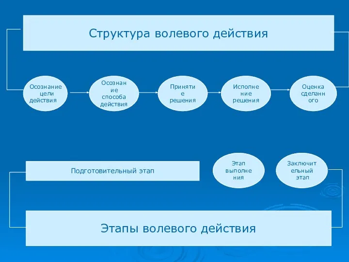 Структура волевого действия Осознание способа действия Принятие решения Исполнение решения Оценка