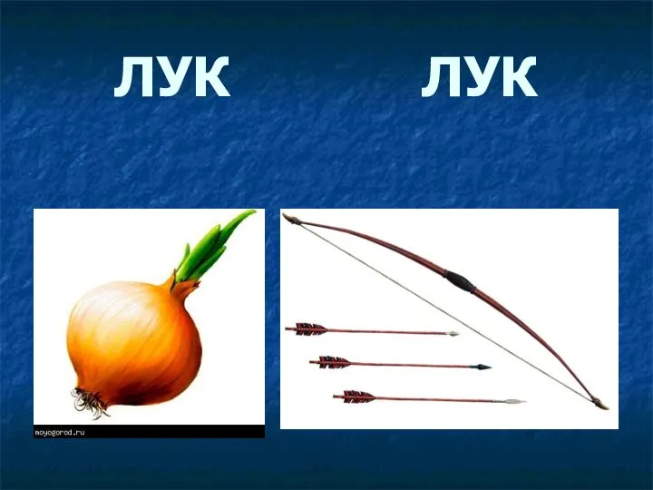 ЛУК ЛУК