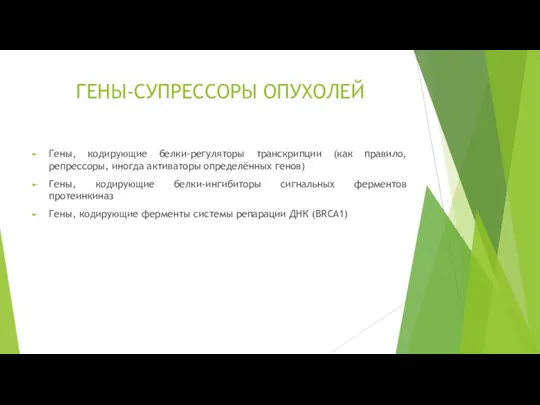 ГЕНЫ-СУПРЕССОРЫ ОПУХОЛЕЙ Гены, кодирующие белки-регуляторы транскрипции (как правило, репрессоры, иногда активаторы