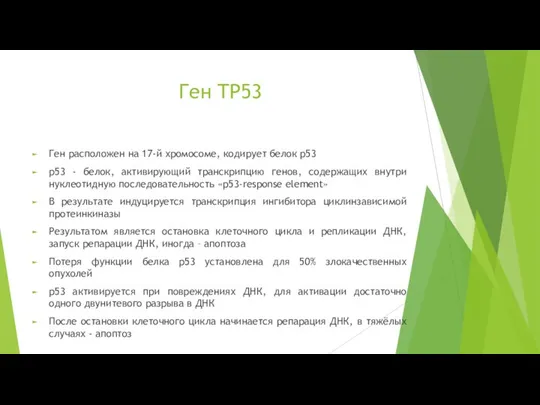Ген TP53 Ген расположен на 17-й хромосоме, кодирует белок p53 p53