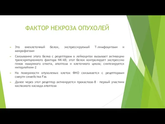 ФАКТОР НЕКРОЗА ОПУХОЛЕЙ Это внеклеточный белок, экспрессируемый Т-лимфоцитами и макрофагами Связывание