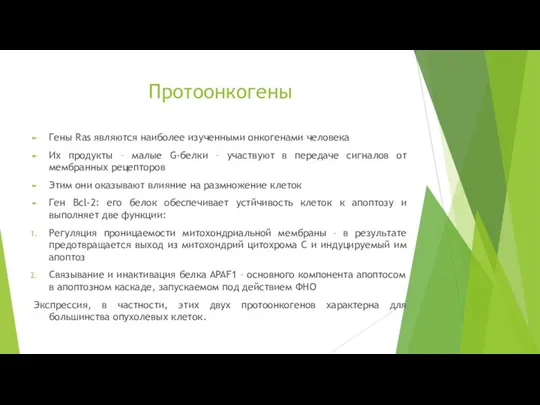 Протоонкогены Гены Ras являются наиболее изученными онкогенами человека Их продукты –