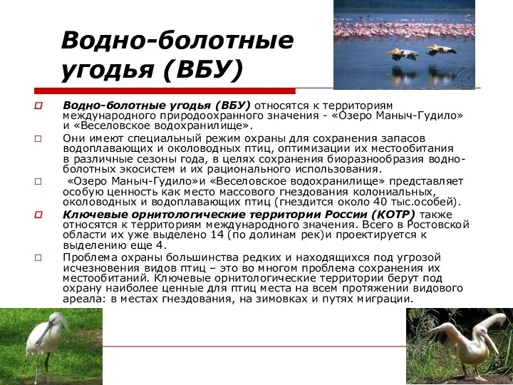 Водно-болотные угодья (ВБУ) Водно-болотные угодья (ВБУ) относятся к территориям международного природоохранного