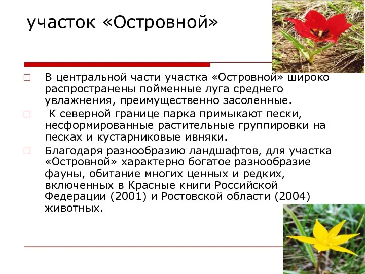 участок «Островной» В центральной части участка «Островной» широко распространены пойменные луга