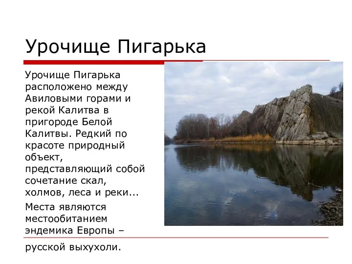 Урочище Пигарька Урочище Пигарька расположено между Авиловыми горами и рекой Калитва