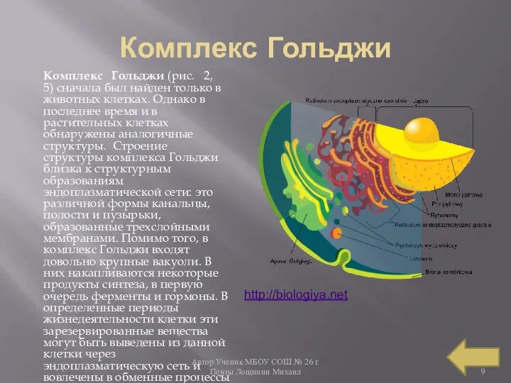 Автор Ученик МБОУ СОШ № 26 г. Пензы Лощинин Михаил Комплекс