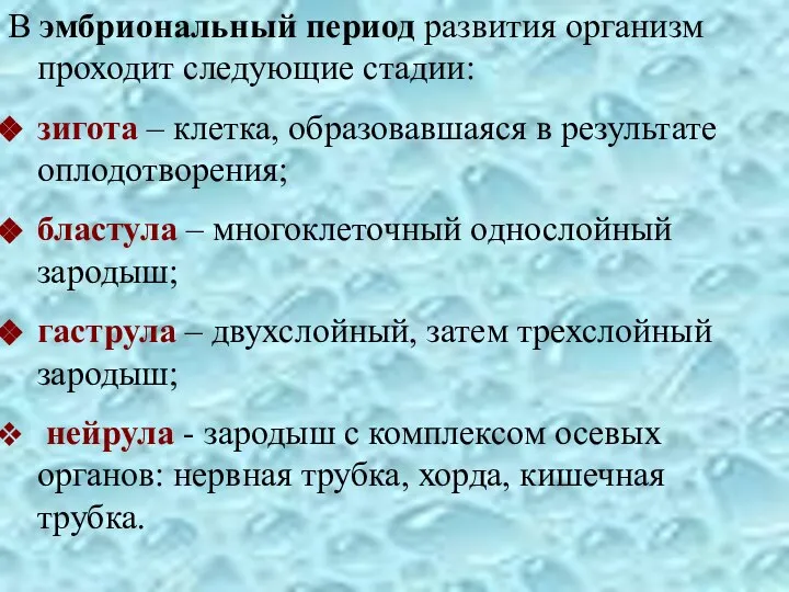 В эмбриональный период развития организм проходит следующие стадии: зигота – клетка,