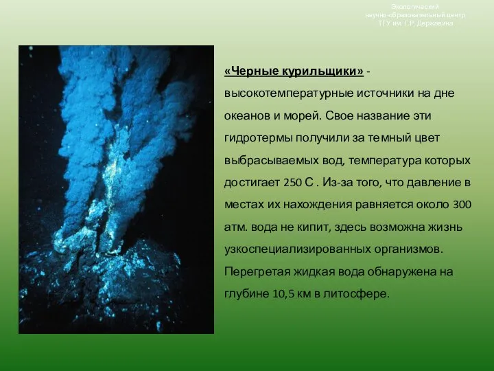 «Черные курильщики» - высокотемпературные источники на дне океанов и морей. Свое