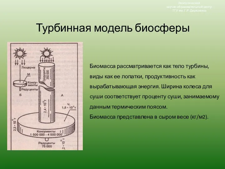 Турбинная модель биосферы Экологический научно-образовательный центр ТГУ им. Г.Р. Державина Биомасса