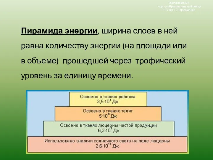 Пирамида энергии, ширина слоев в ней равна количеству энергии (на площади