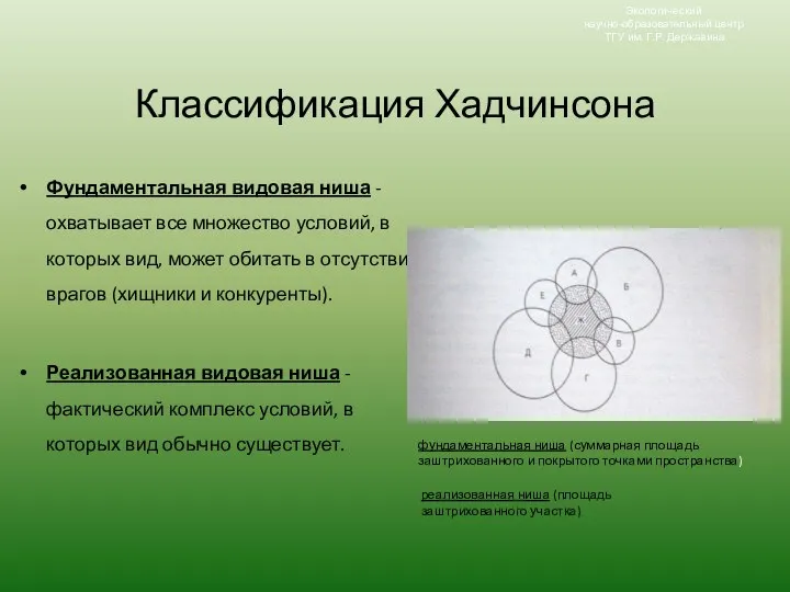 Классификация Хадчинсона Фундаментальная видовая ниша - охватывает все множество условий, в