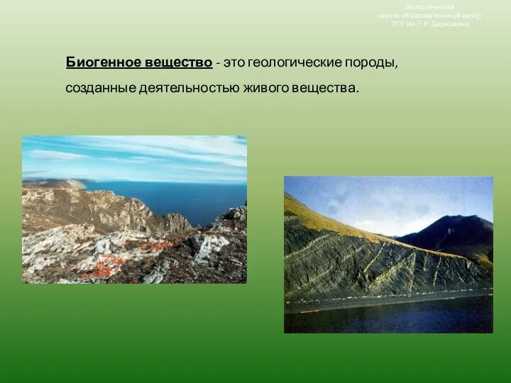 Биогенное вещество - это геологические породы, созданные деятельностью живого вещества. Экологический