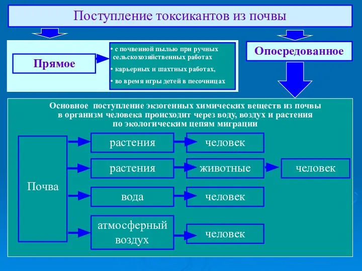 растения Почва человек растения человек животные вода человек атмосферный воздух человек