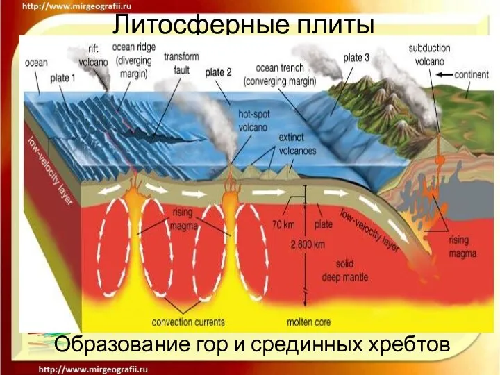 Литосферные плиты Образование гор и срединных хребтов