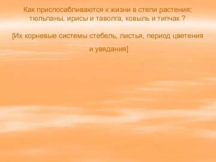 Как приспосабливаются к жизни в степи растения; тюльпаны, ирисы и таволга,