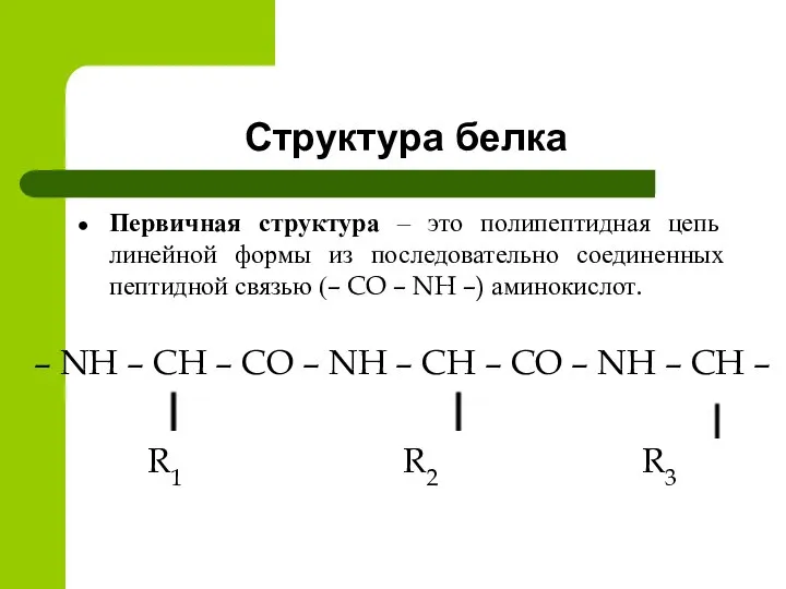 Структура белка Первичная структура – это полипептидная цепь линейной формы из