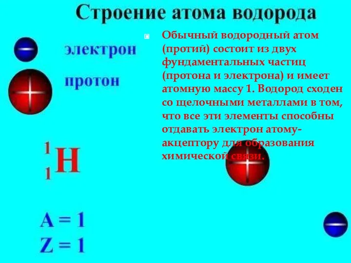 Обычный водородный атом (протий) состоит из двух фундаментальных частиц (протона и